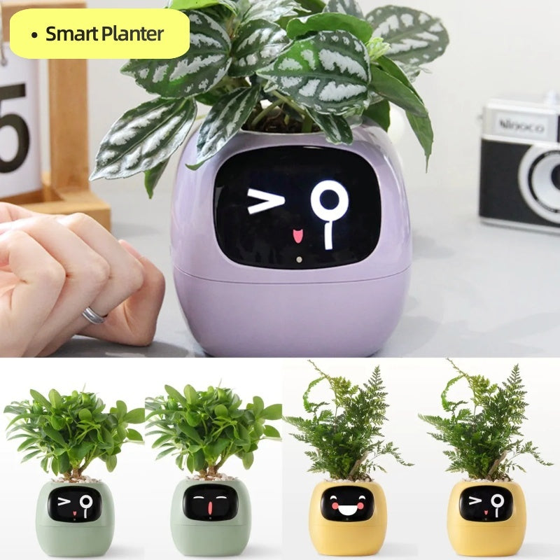 Smart Planter Endless